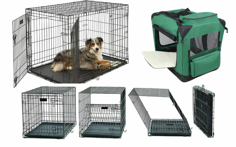 Best Dog Crates For Australian Shepherd AllShepherd