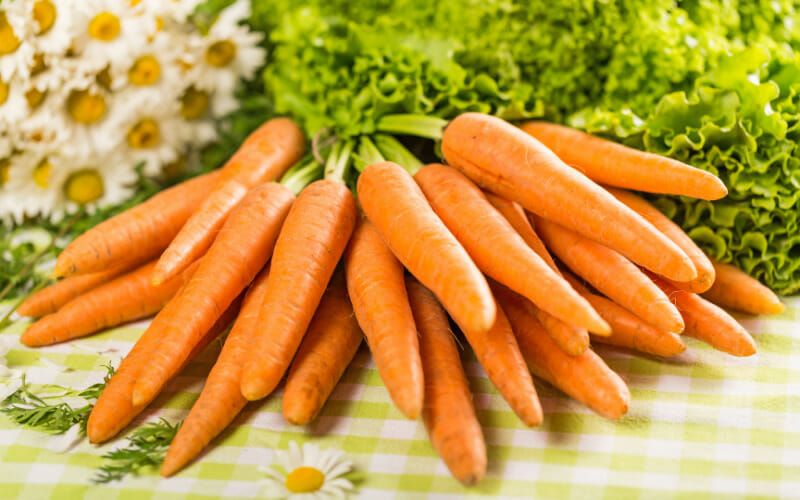 Can German Shepherds Eat Carrots? Know The Advantages And Disadvantages