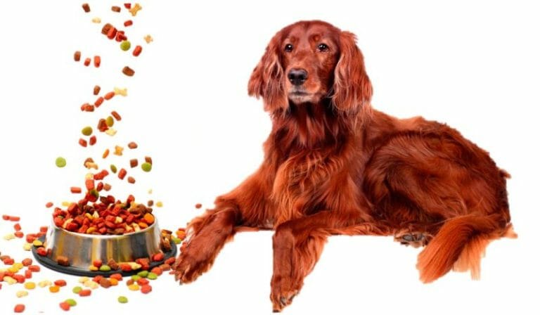 SWEN Products Irish Setter Dog Weathervane - Complete Roof Mount, Powder Coat Finish, 16 Gauge Steel, Working